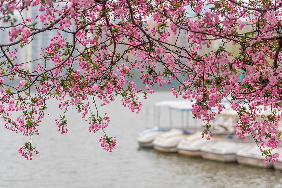 周二盘后传来新消息，周三能否放量收阳成为关键！
周二盘后新消息如下：
一、据媒体