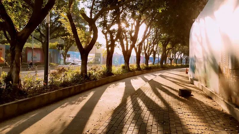 什么才是向往的平凡平淡生活？看看《向往的生活》就有答案。在乌镇的蘑菇屋，众人感受