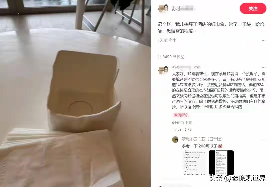 讹诈！上海网友吐槽三亚亚龙湾某宾馆:小孩不小心损坏酒店纸巾盒，酒店索要924元天
