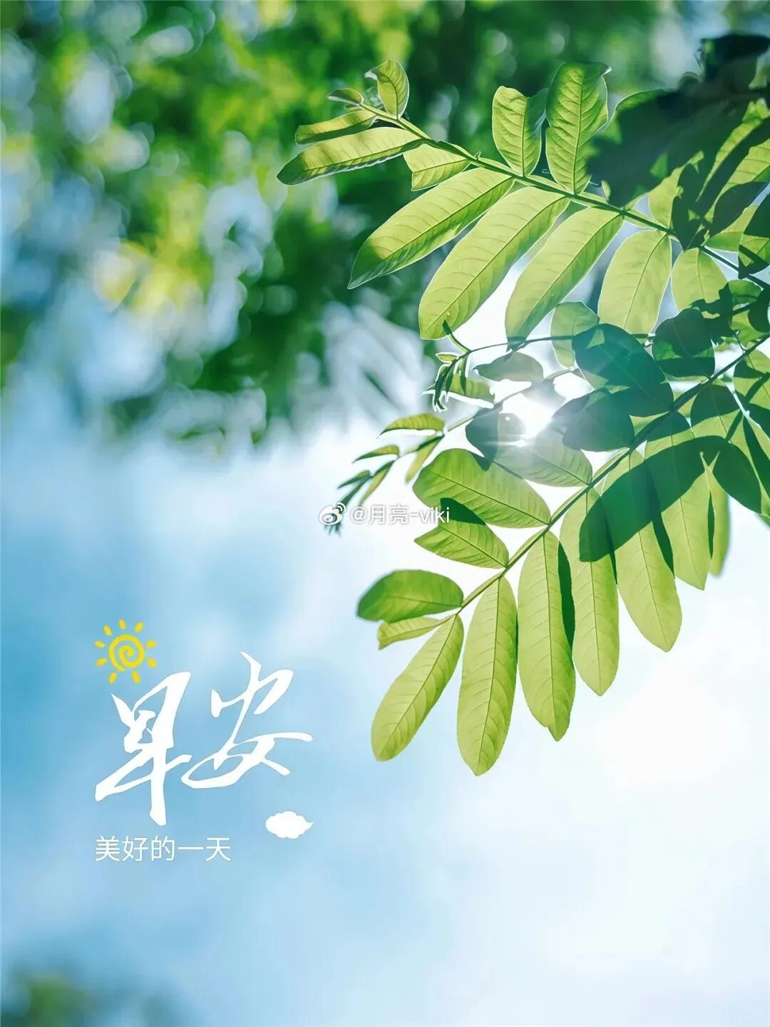 早～上～好…吖🥰我们一起向阳而行。加油~真困😪岑先生