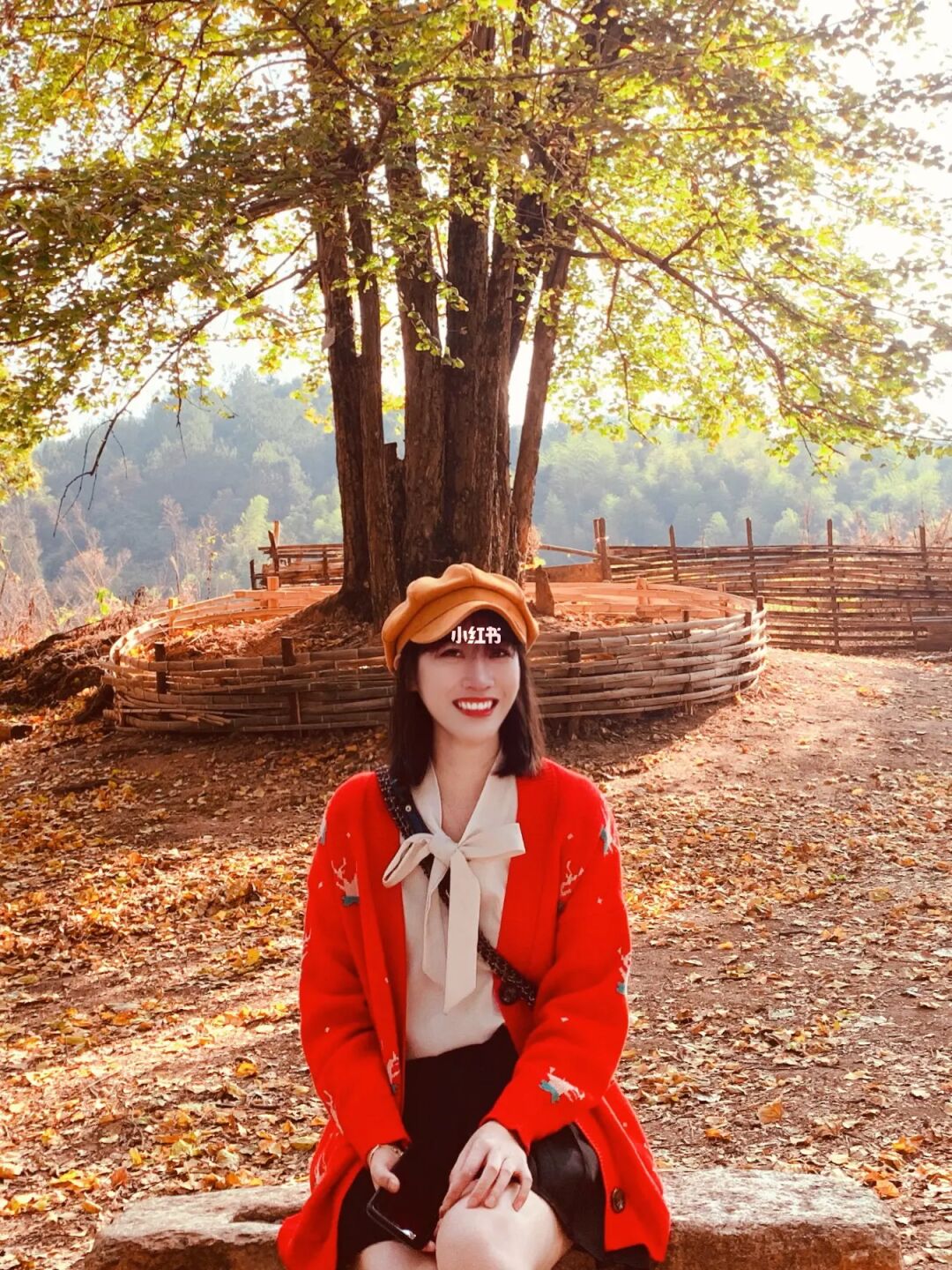 希望在这个秋天，我们都能少些遗憾