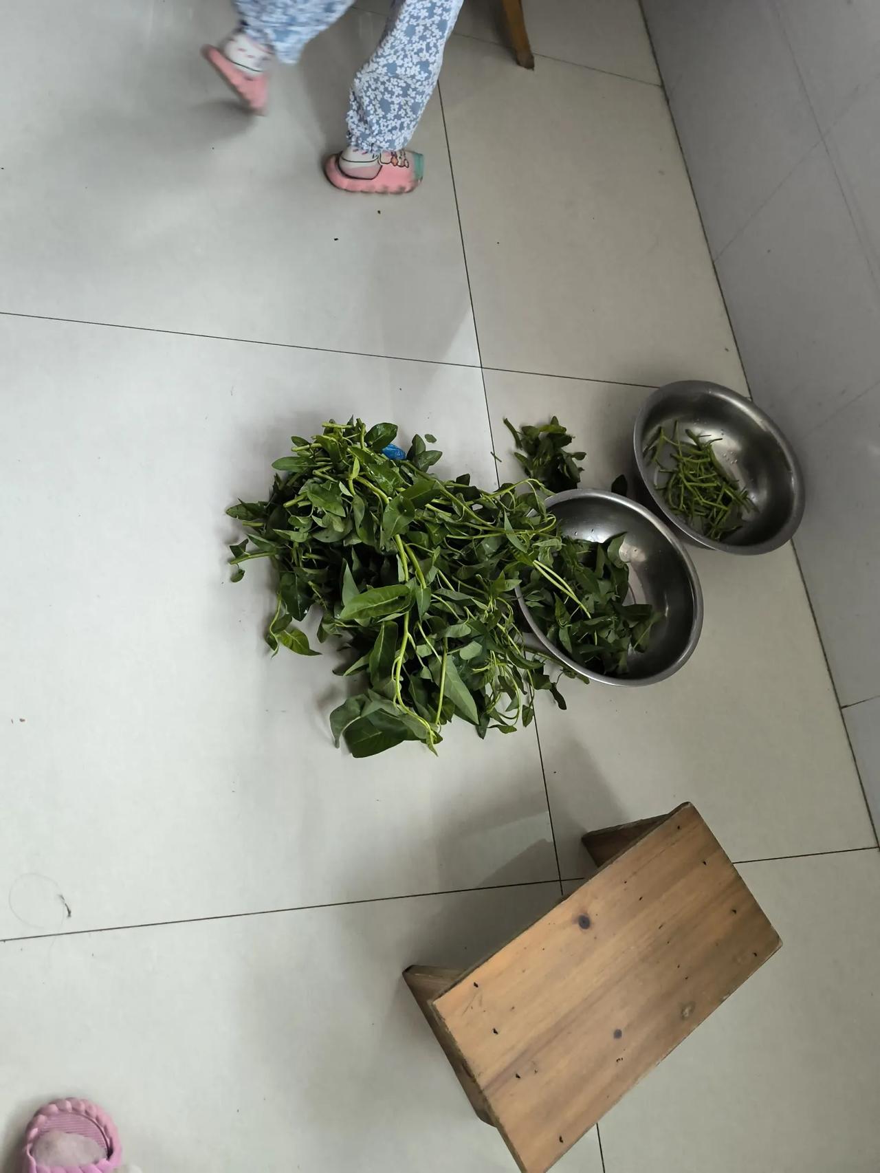 这是什么菜