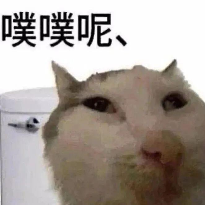 中午好 丫头们表情包[超话] ​​​