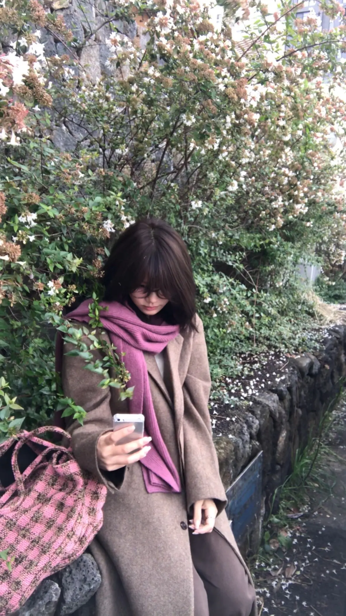 窝在被窝里，不想起来🌰