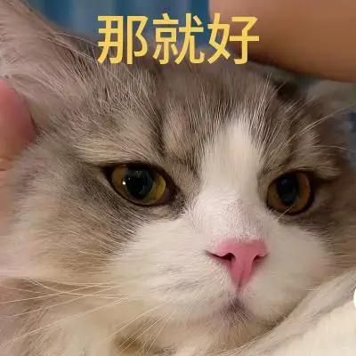 被自家宠物伤到没啥说，没有伤到他人就好。