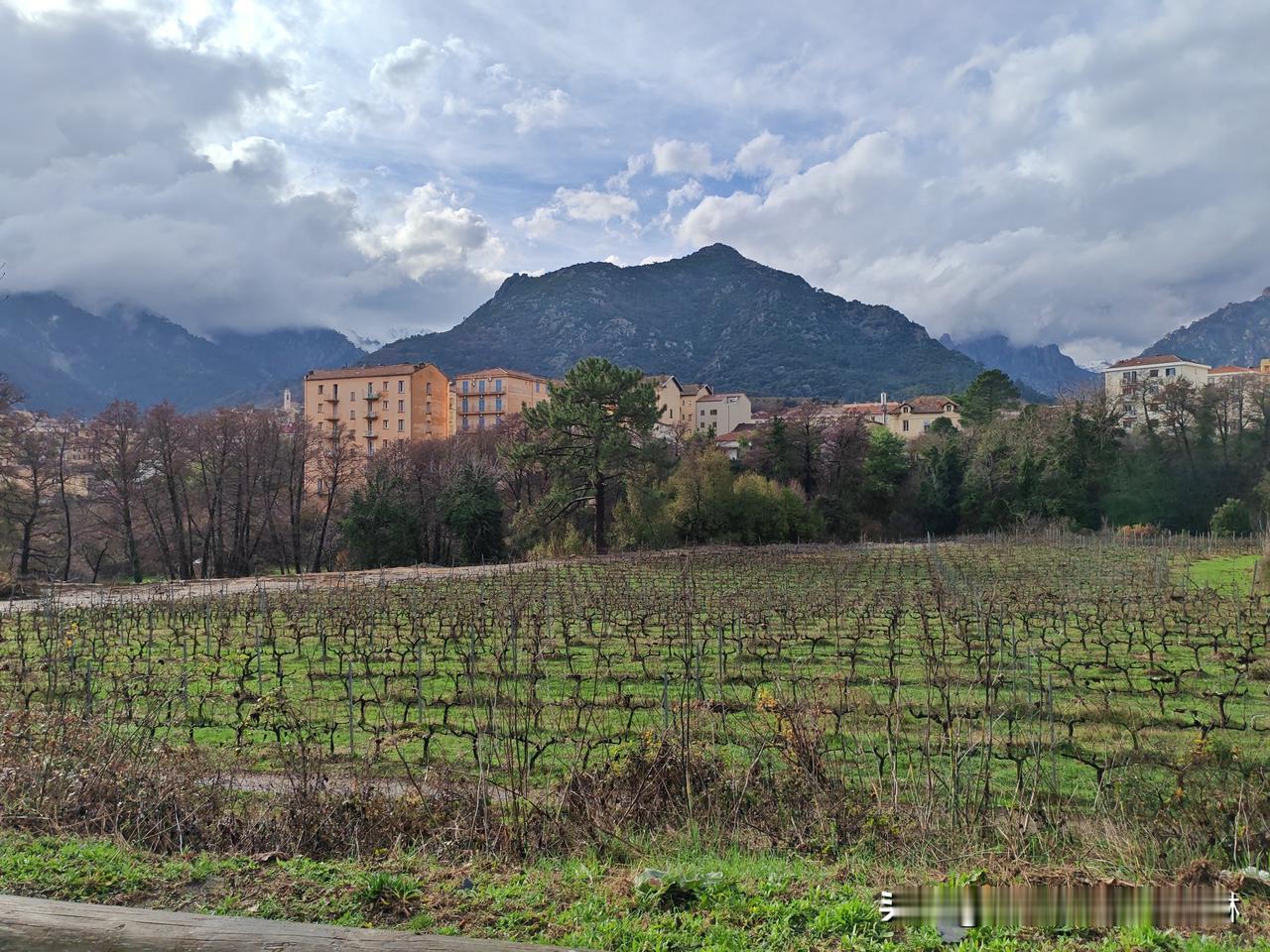 3️⃣ 走近科西嘉岛中部城市~科尔特
​
​科尔特（Corte）是科西嘉岛中部的