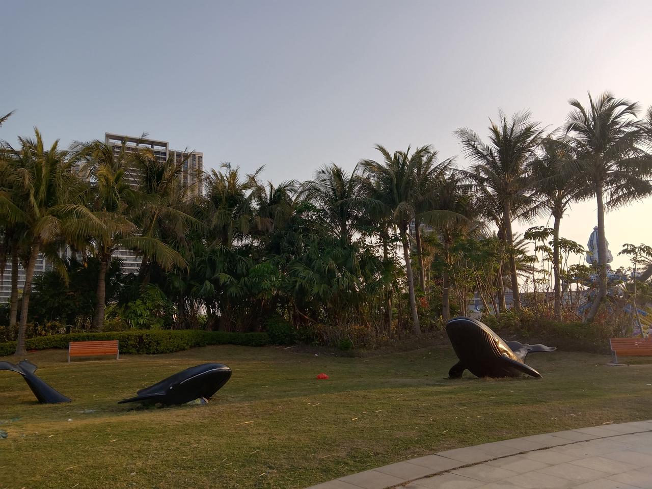 今年冬天的不同在冷的地方生活转为在暖的地方生活