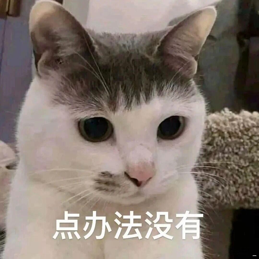 特朗普抓获委内瑞拉总统好家伙，这要是真的魔幻的跟打游戏一样的还是在二十一世纪，说