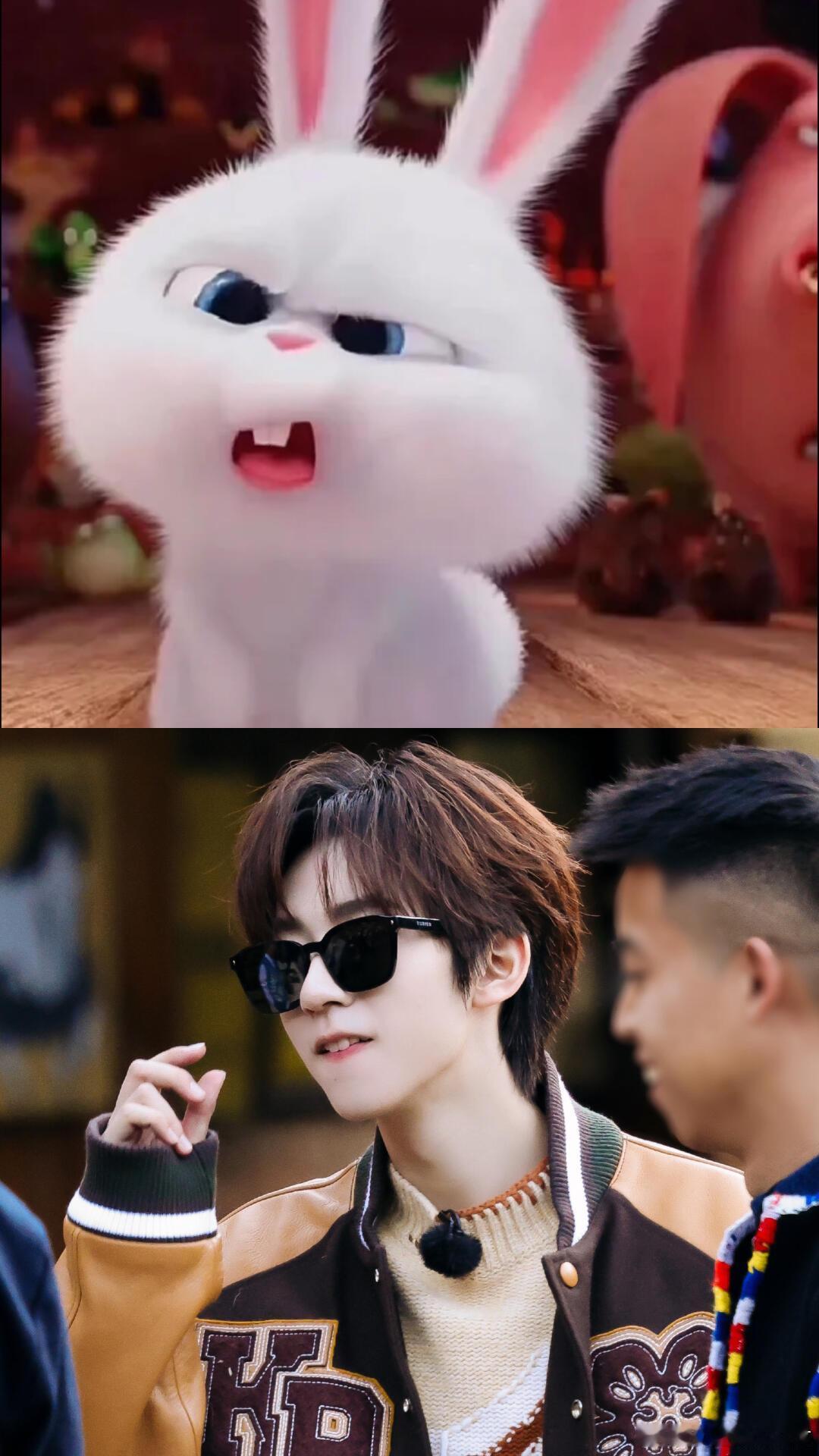 小贺哥哥|兔老大 