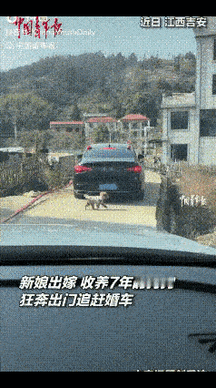 “泪目了！”江西吉安一名女子结婚当天，半路上朋友提醒她后面有人追，女子朝后看到是