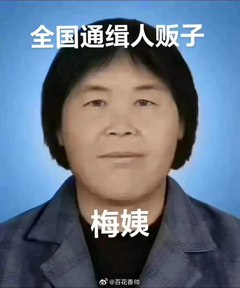 梅姨被逮捕天不藏奸，地不纳垢！梅姨是很多人的童年阴影，如今这个破坏无数家庭幸福，