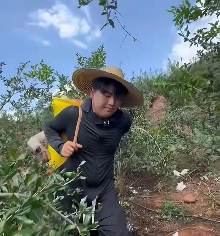 全红婵哥哥捐款3万被骂全进华只是个普通助农博主，经常顶着酷暑高温零佣金帮农户卖货