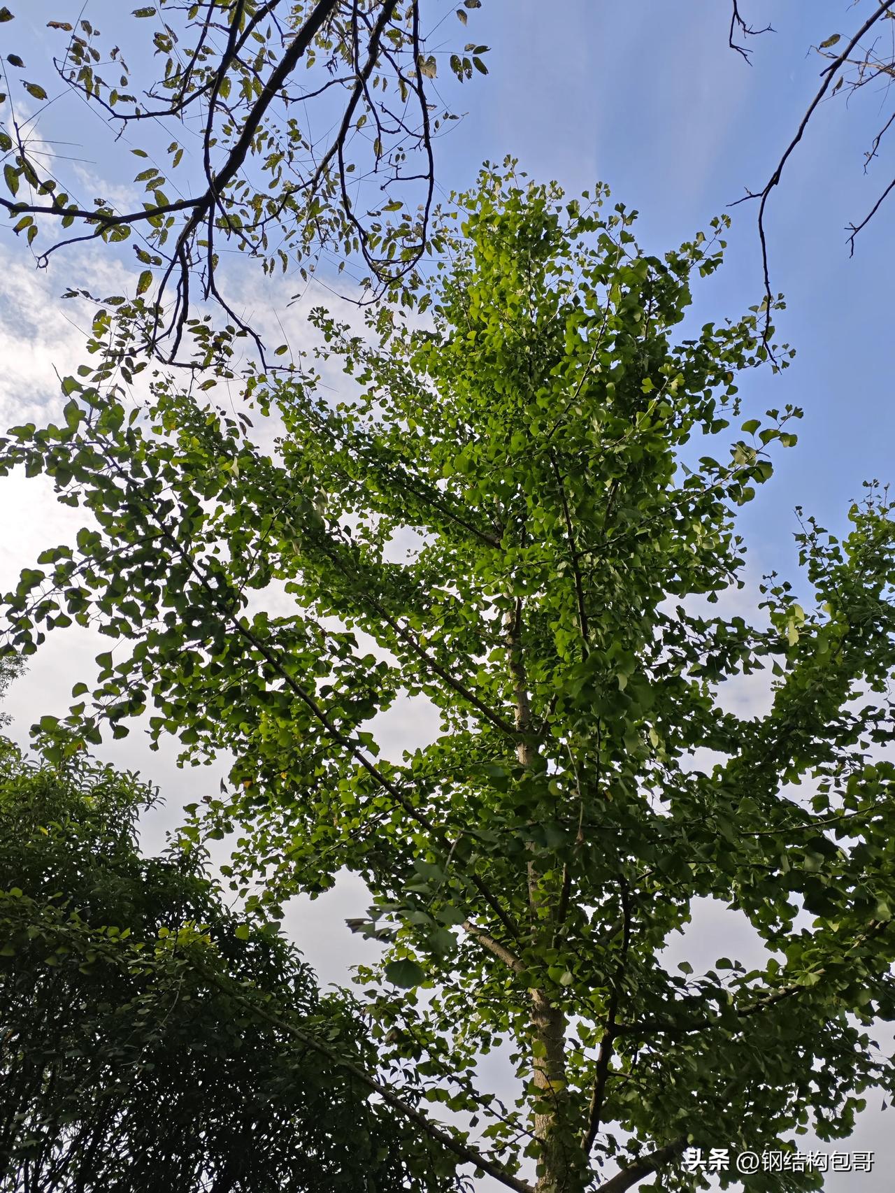 60 块钱才能坐下的星巴克，你还去吗？

星巴克最新规矩：不消费，不能久坐。
消