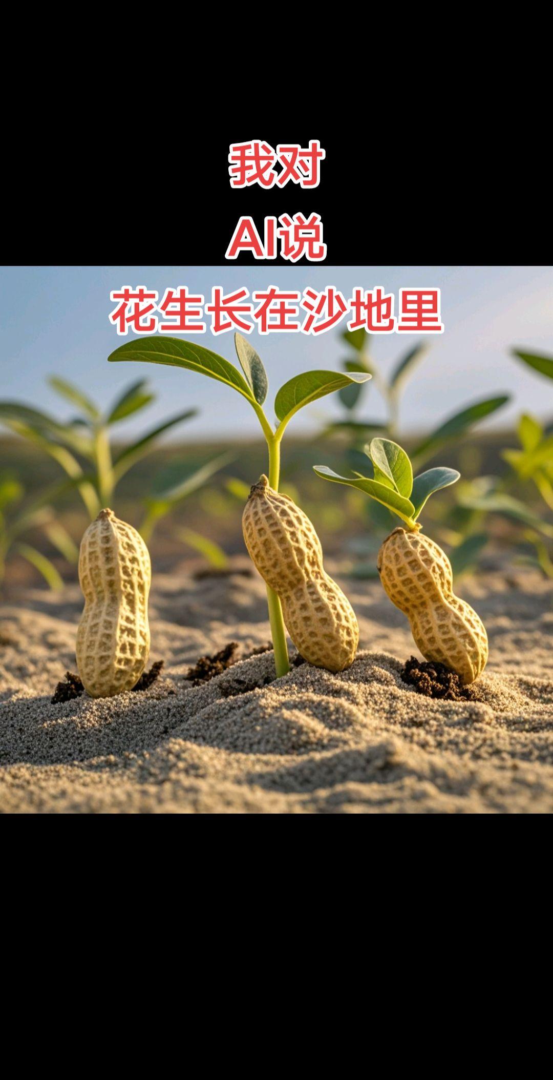 豆包，给我生成一副图片
花生长在沙地里，花生要三粒的#豆包app