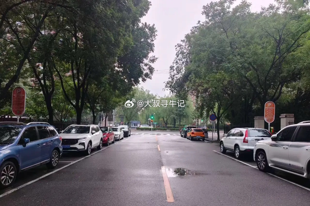 宇树机器人即将上市，炒作机器人板块！长江存储也要上市，长鑫存储也要上市，宇树机器