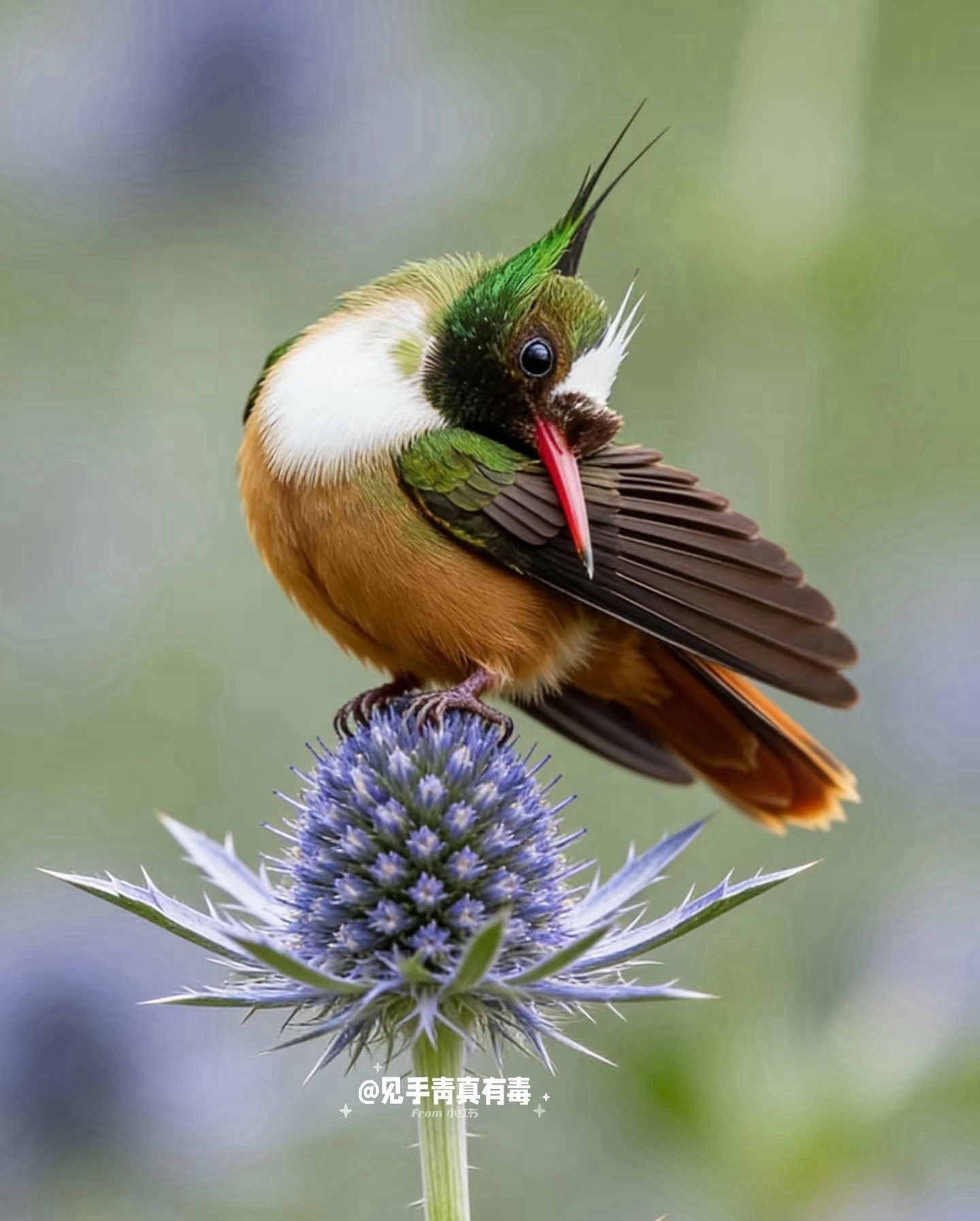 每逢佳节倍死卿，哪年清明节好过了？从来没有的事，所以跌啊跌的就习惯了。 