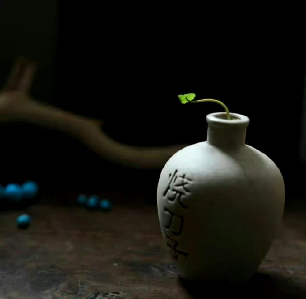 “老人言：”1羊吃百草不吃麻，2牛吃百草不吃茶，3. 马无夜草不肥，人无外财不富