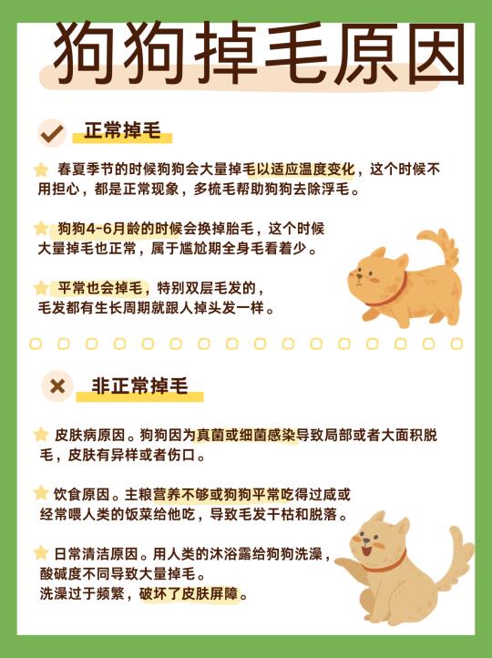 家里狗狗掉毛🐶？抓紧喂狗狗鱼油！