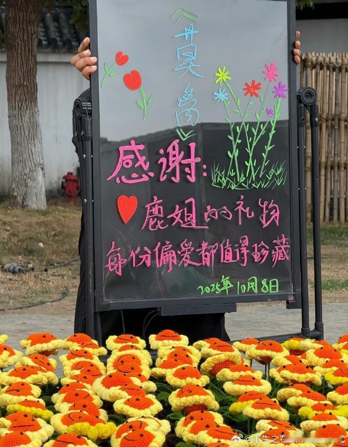 白鹿给莫离剧组送礼物白鹿为《莫离》剧组准备的杀青礼物，是无指妈妈手工编织的向日葵