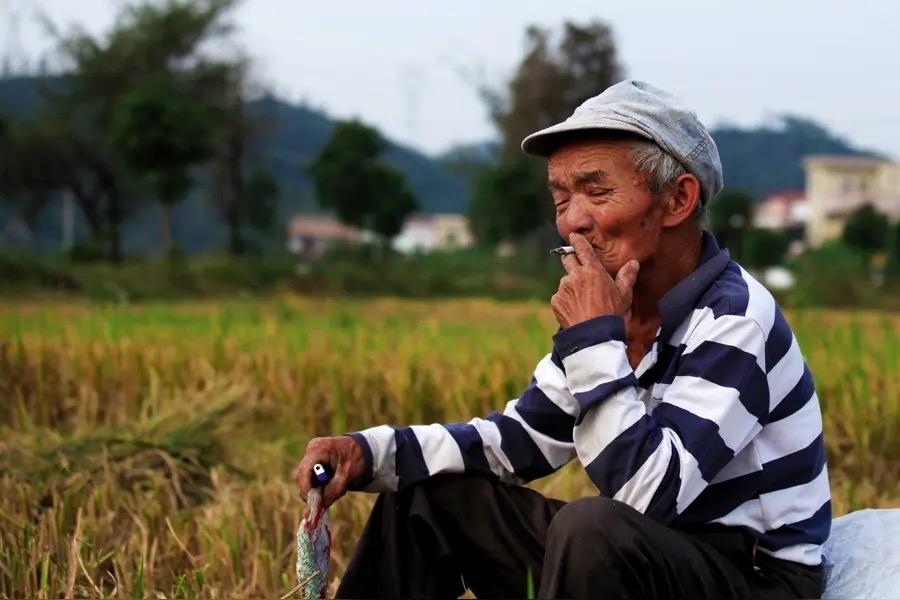 前几天有一个令我不舒服的画面一直萦绕在我的眼前。

似鱼梗咽喉不吐不快。

那是