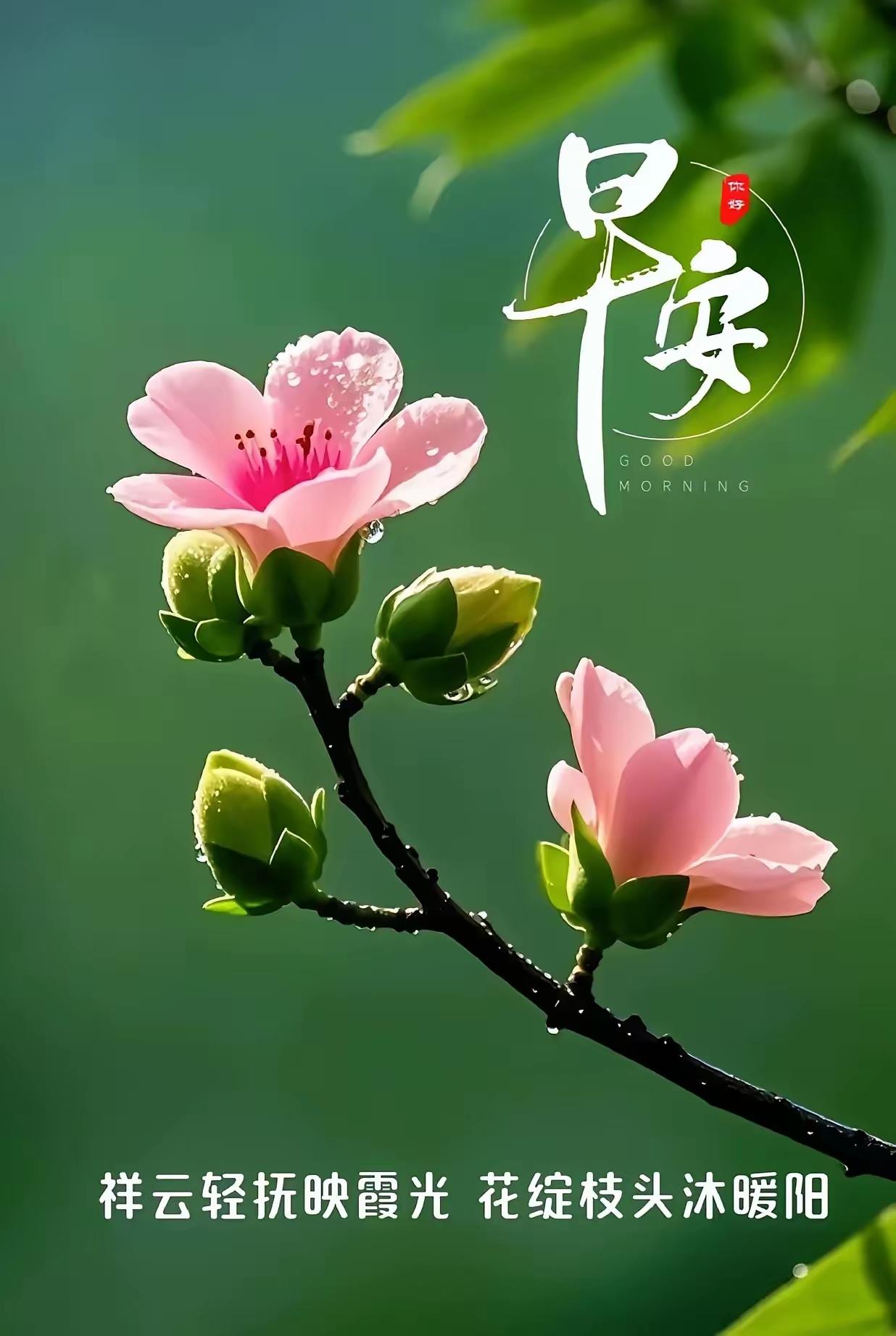 我们单位每年都有体检，可是去年有一位同事胃癌晚期走了，前几天又有一位同事肝癌晚期