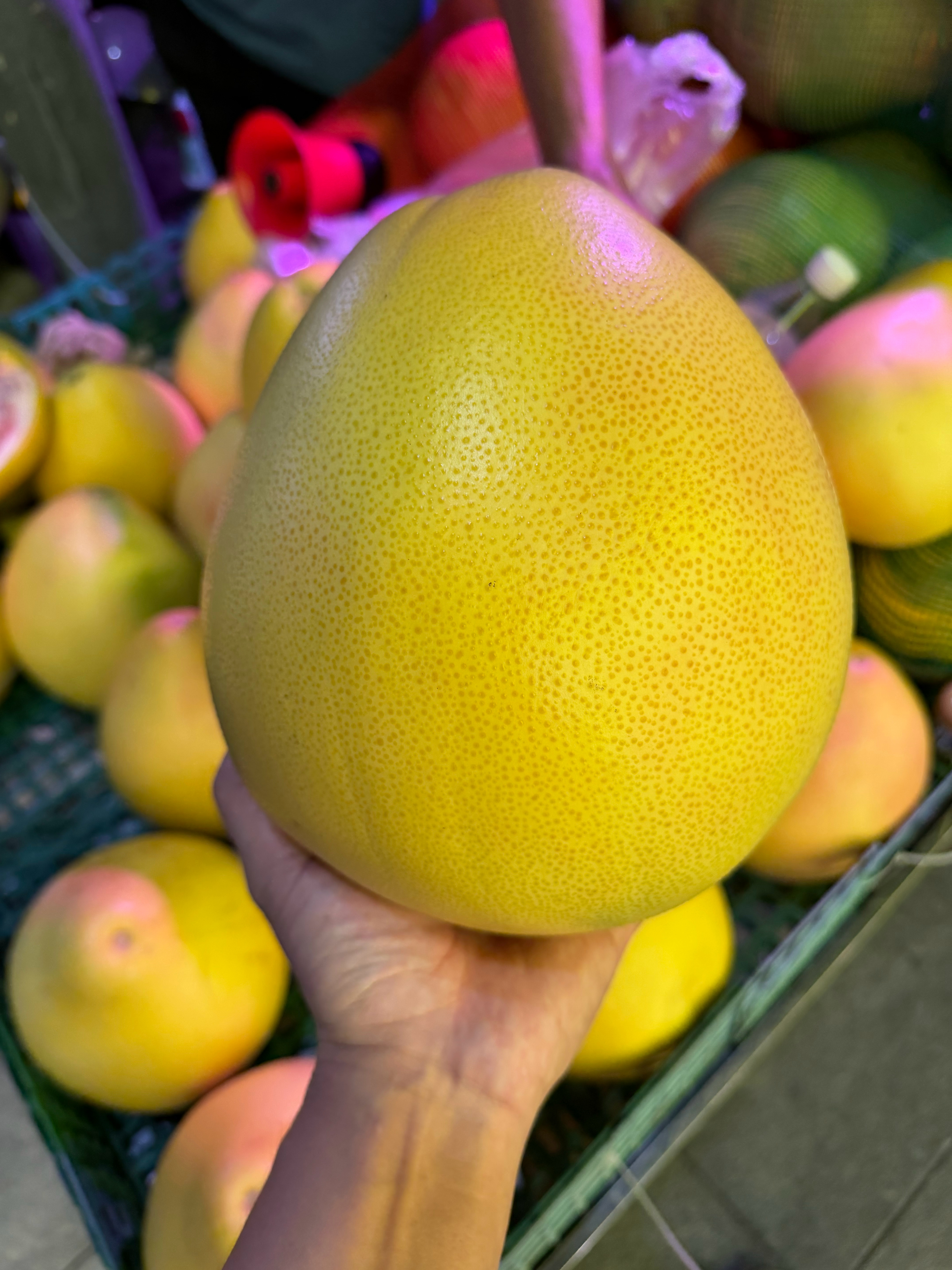 6块钱买了1个柚子，论个卖的，得有4斤，这要是去批发产地买，是不是只有2块钱一个