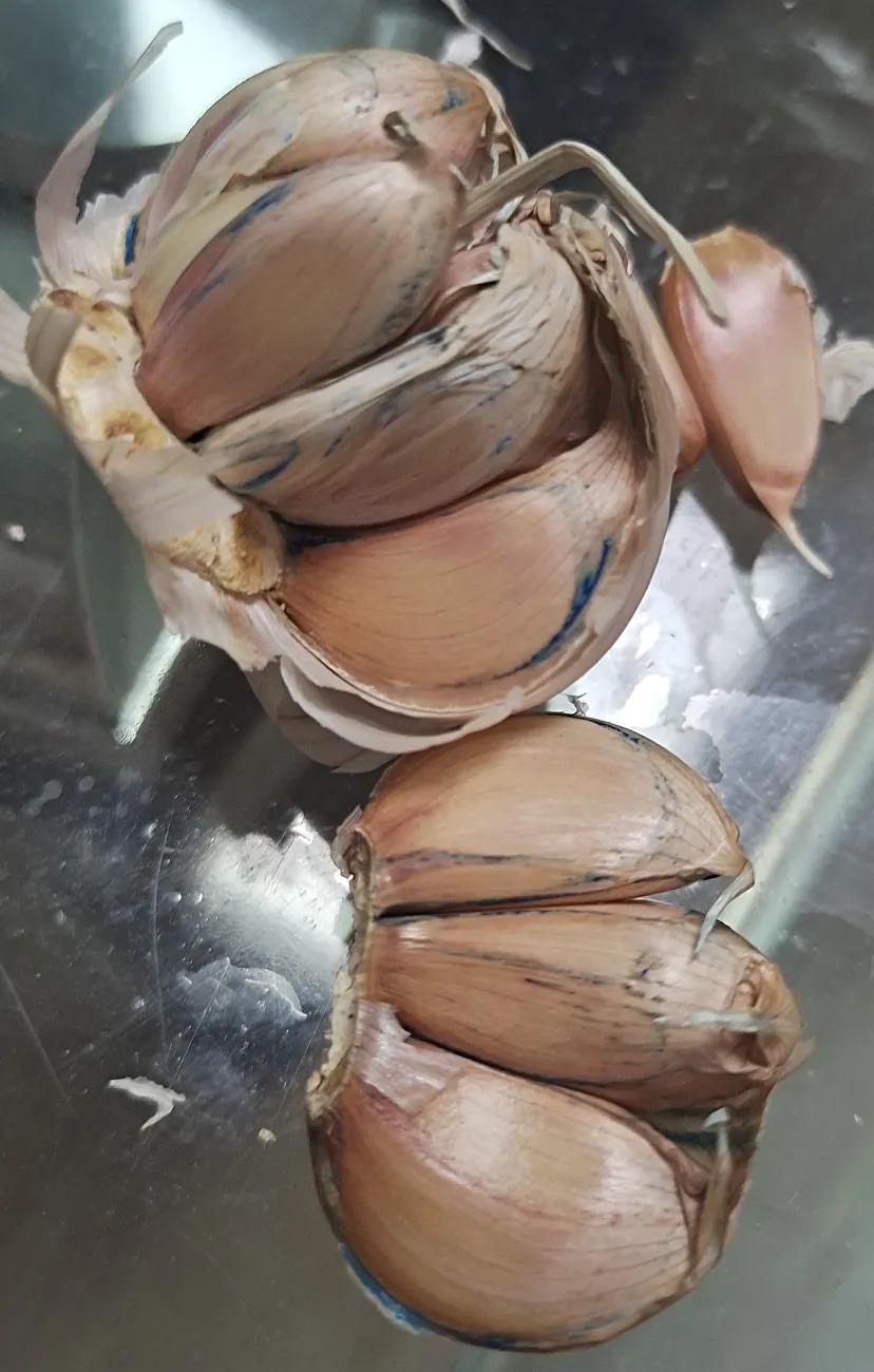 谁知道这大蒜里面蓝色的是啥呀？


八块钱一斤买回来的大蒜，表面看着很好，拨开也