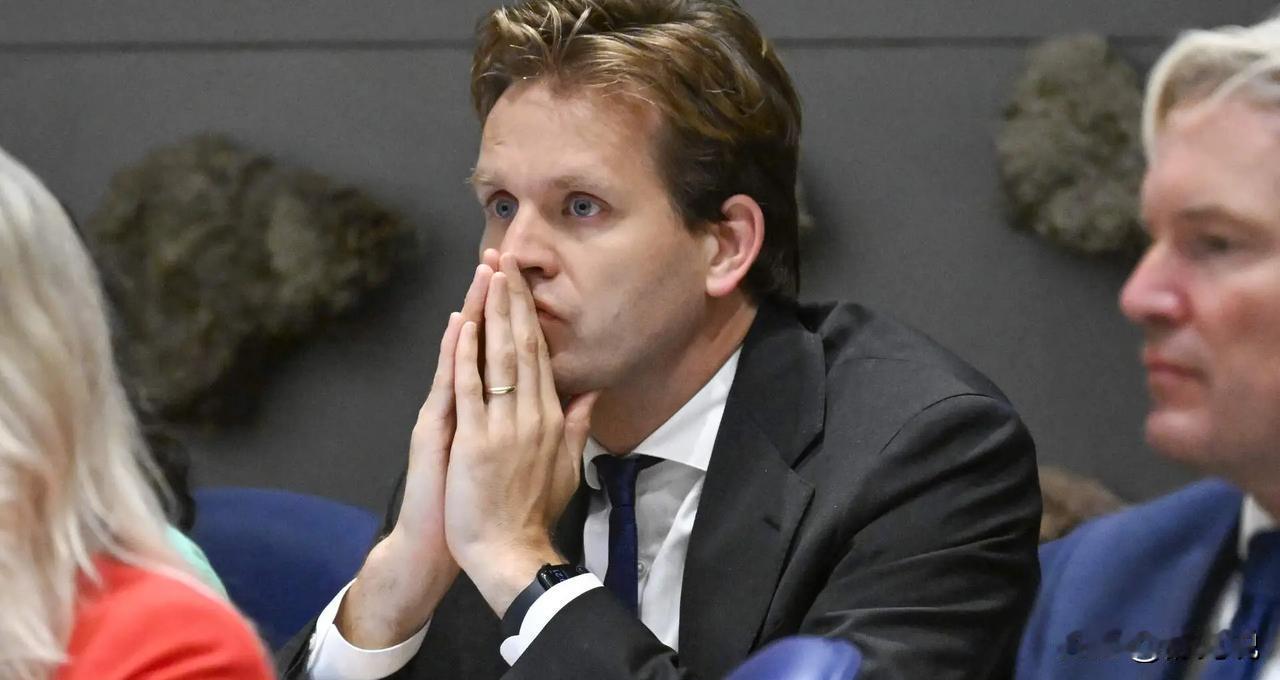 你以为荷兰猪农每赚100元，就有40元来自中国餐桌？
真相是，他们每头猪还拿着欧