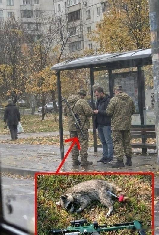 俄乌网消息，乌克兰开始“拿着麻醉镖打猎一样抓壮丁”！乌克兰兵役办的猎手们现在直接