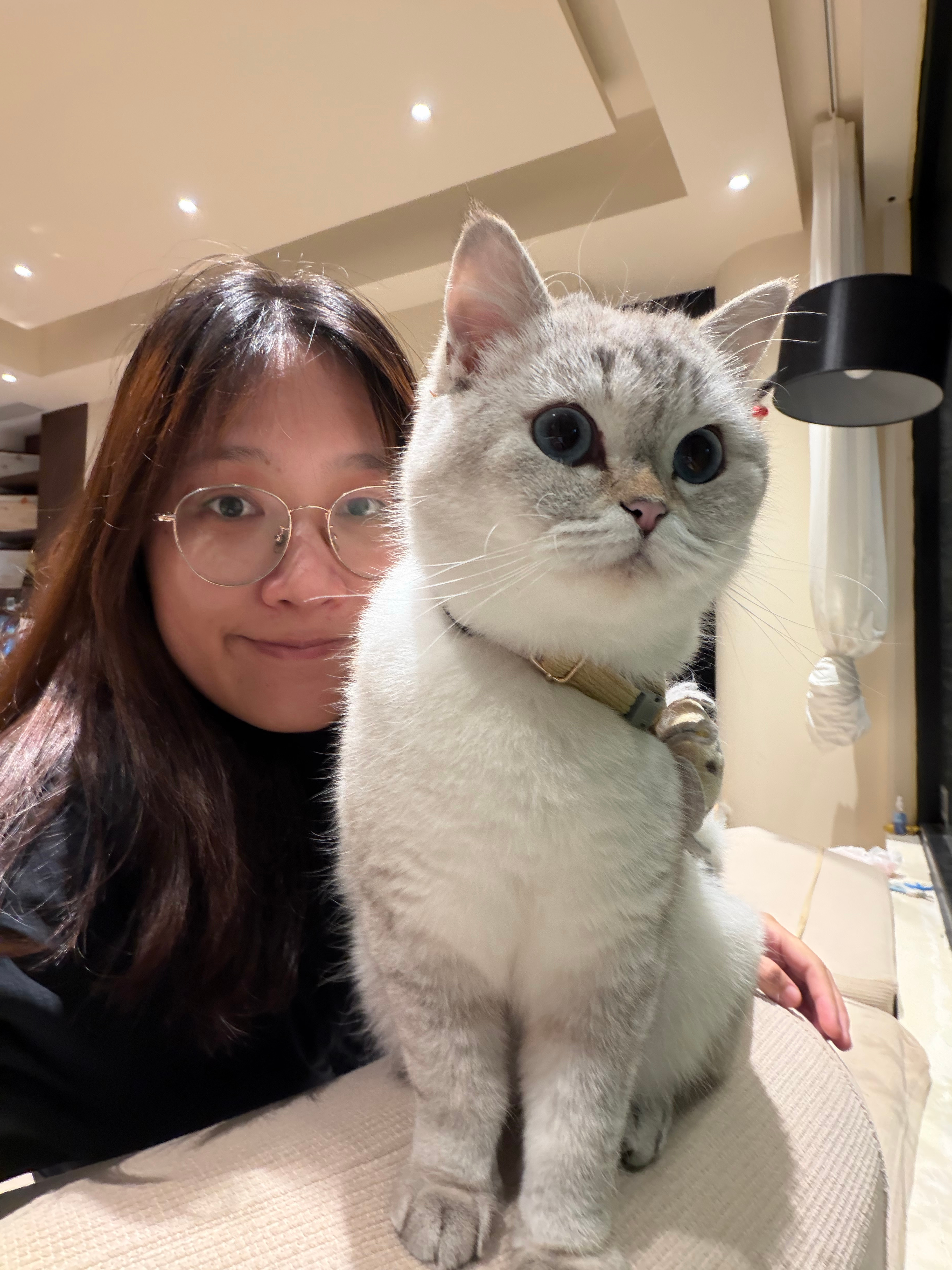 民宿小猫八方！它弟弟叫来财