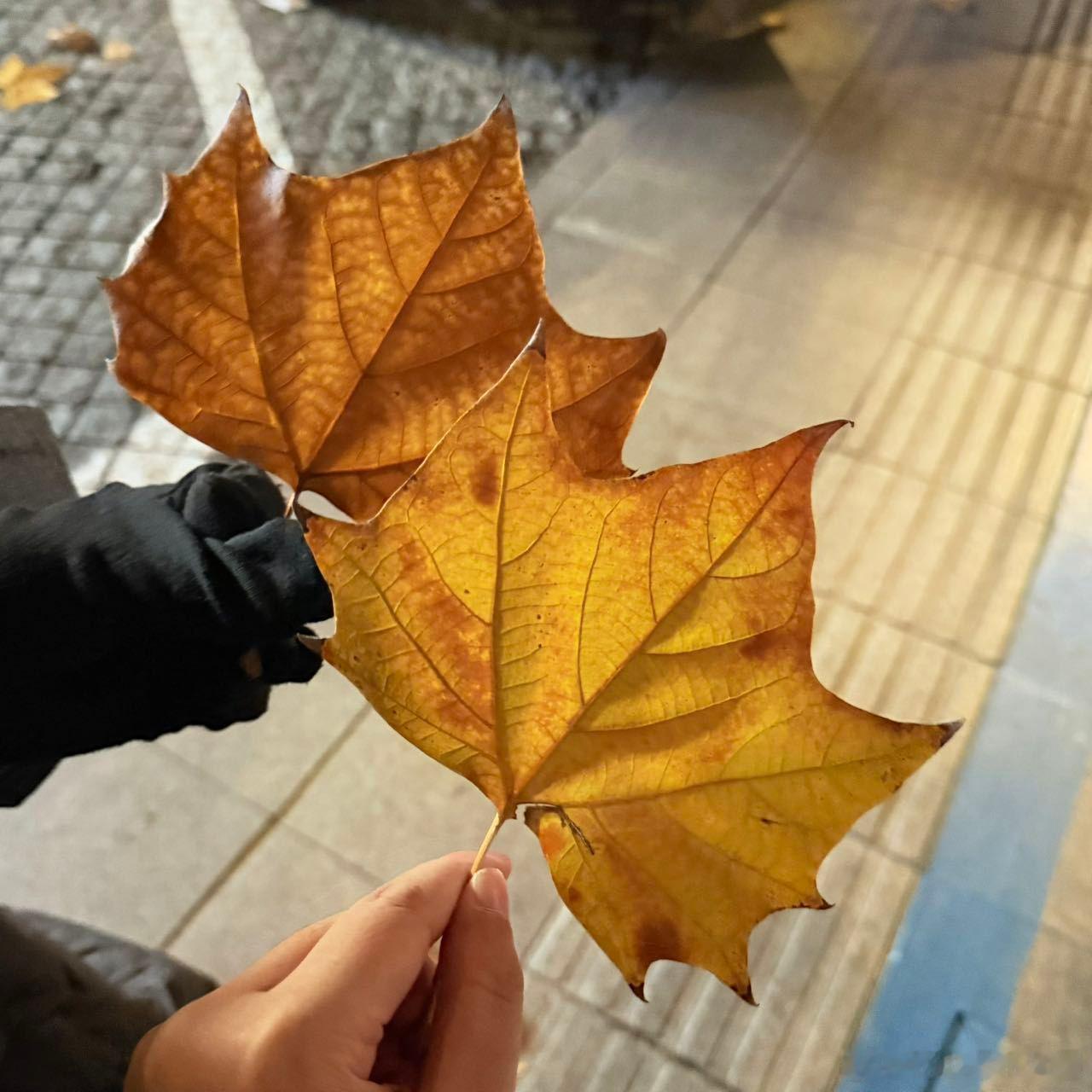年轻人找到了新的低成本浪漫 不是非要玫瑰才叫浪漫，下班顺手带杯你爱喝的奶茶，这种