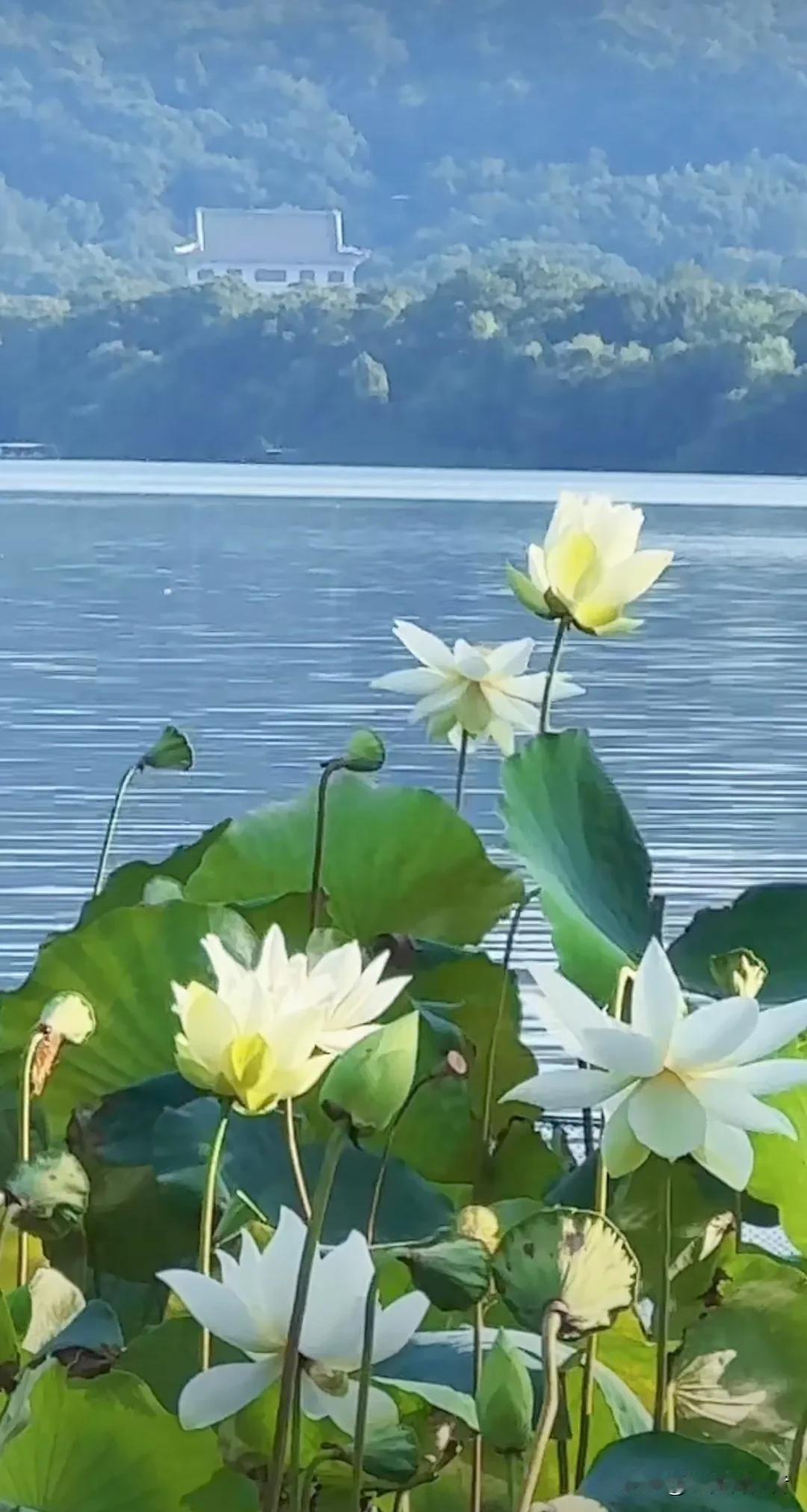 #下联：夏日千山翠色新，诚邀上联#
上联:   春天万水碧彩艳，
下联： 夏日千