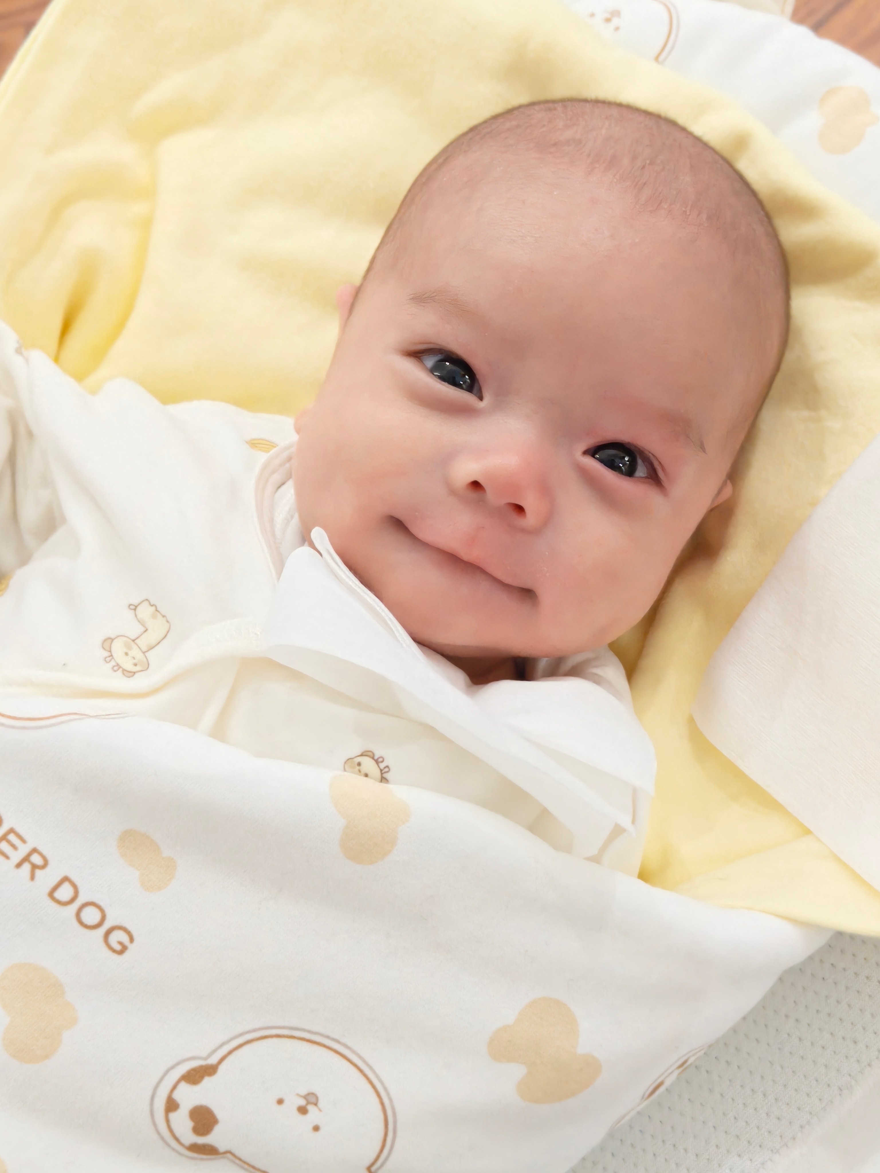 起床干活咯，大家早上好呀