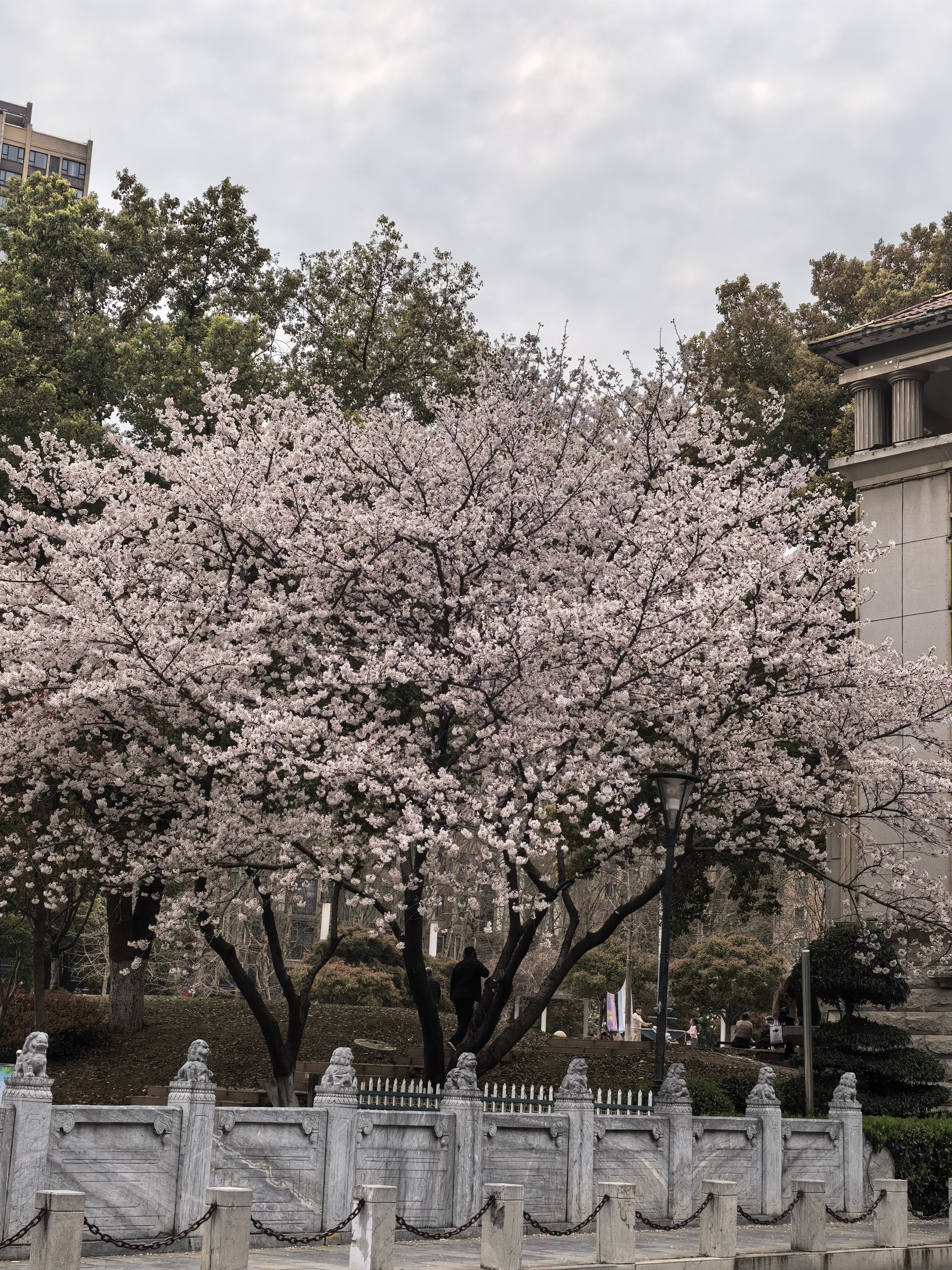 如果时光能倒流，我愿意回到2025年9月重新选择工作！ 