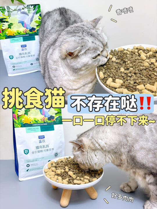 急死我了猫猫挑食不长肉！！！