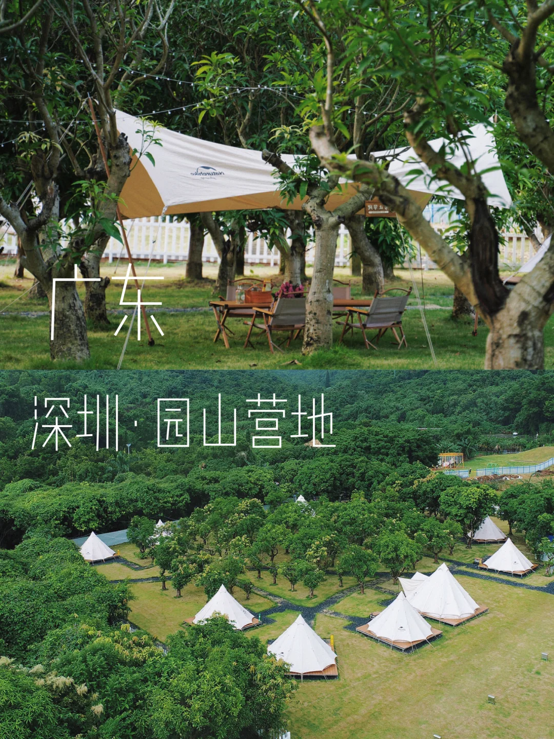 深圳露营🏕三面环林、山谷里的野趣秘境