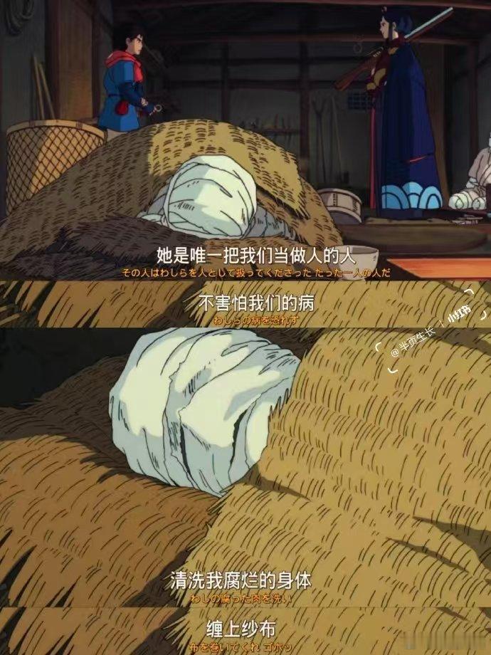 幽灵公主是阿凡达塞尔达的前辈 喜欢《阿凡达》的科幻感，迷恋《金刚》的冒险，钟情《