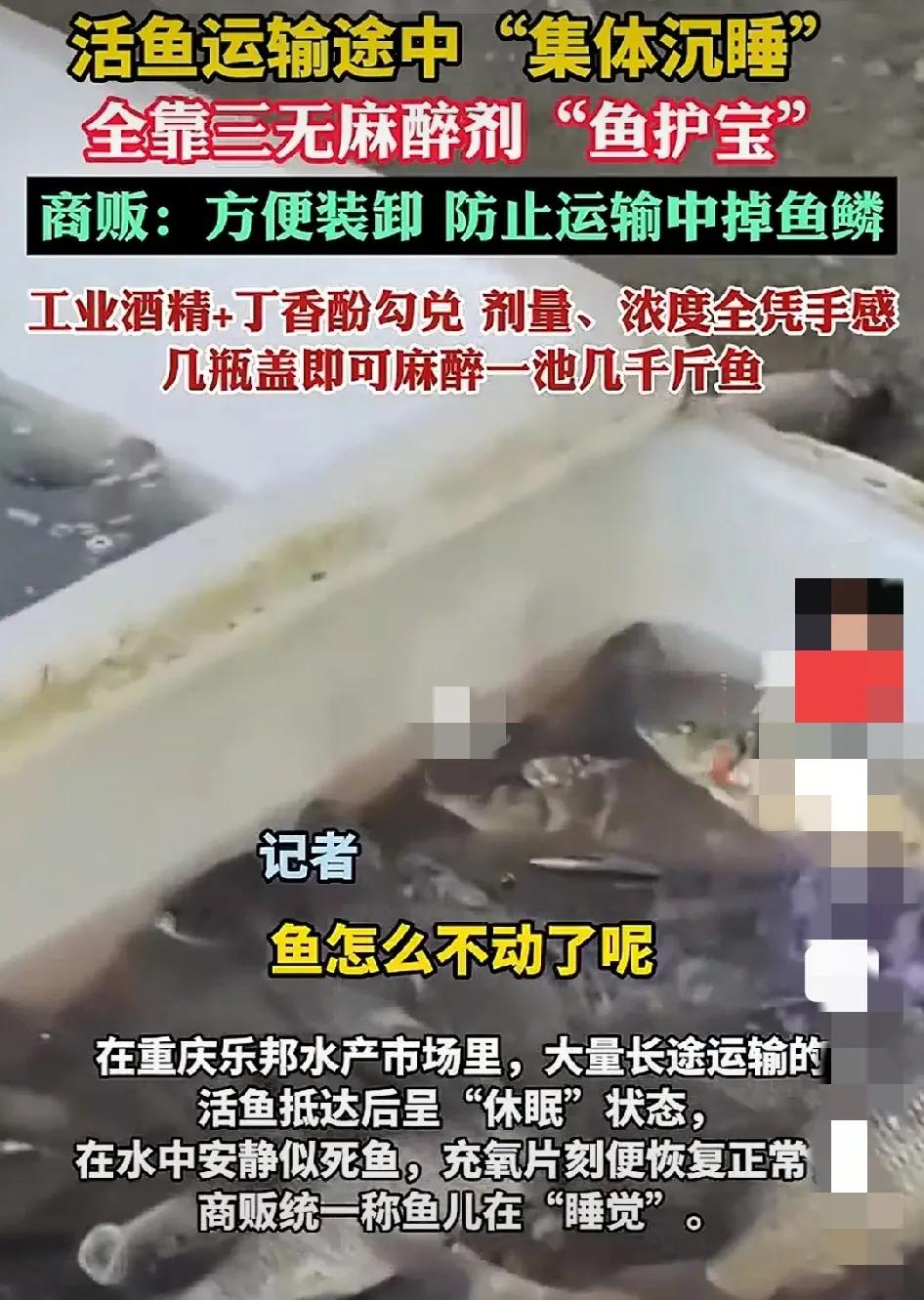 这不是害人吗！做人还有没有底线了！这让老百姓还能吃点啥，还敢吃点啥呢？有毒的豆芽