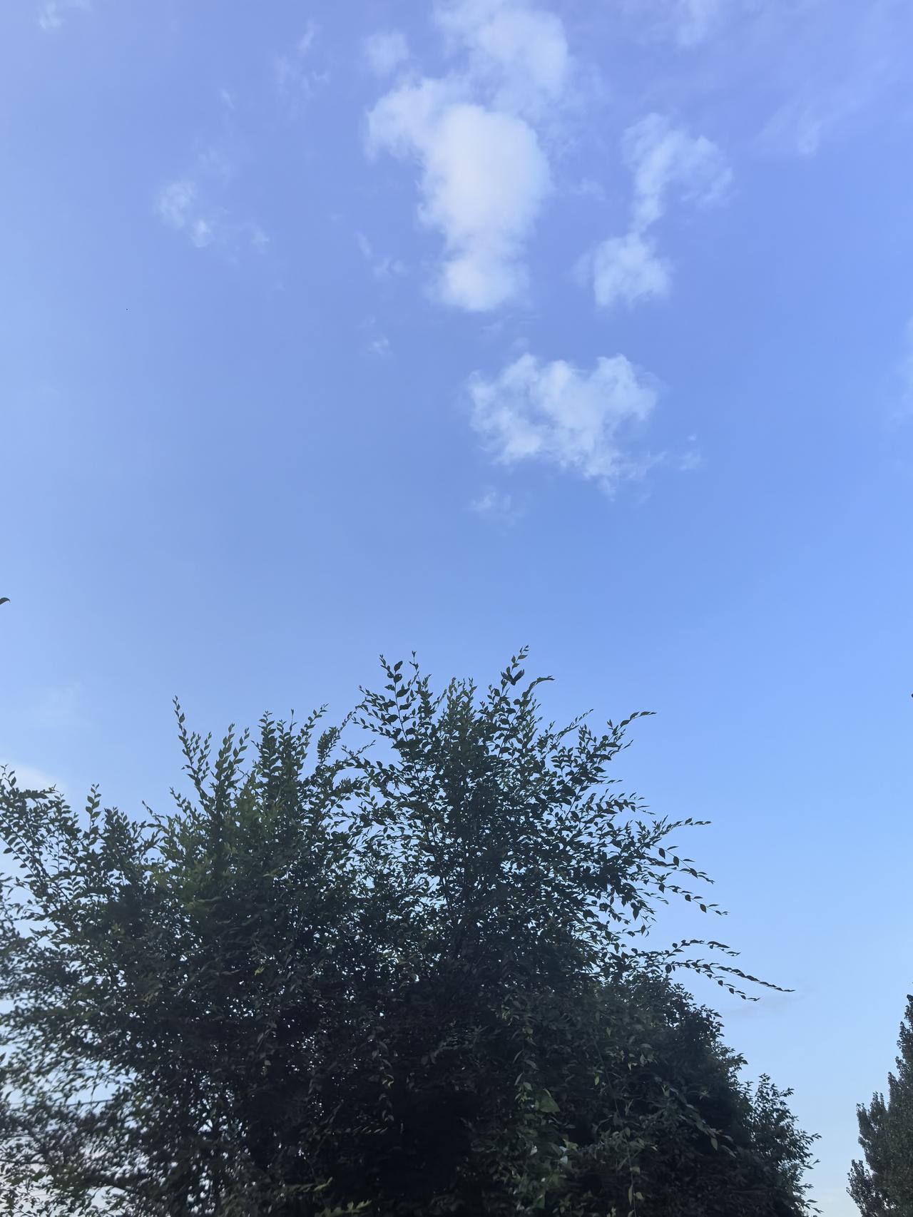 蓝天白云，树木葱茏，风景真美。