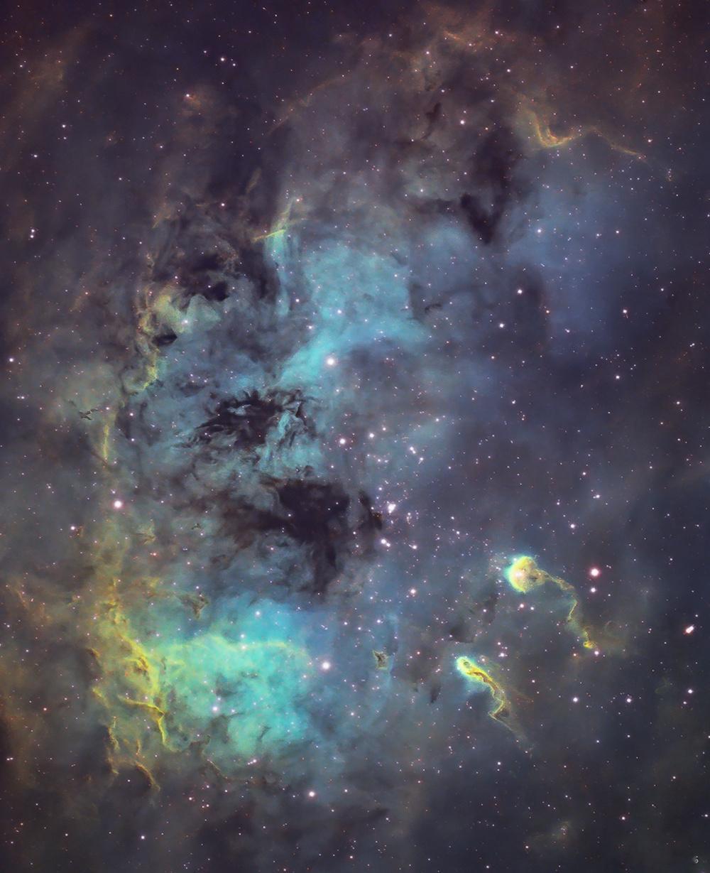 #每天一天文图# 你能看到像蝌蚪一样的星云嘛？这是由较冷较密的气体和尘埃所组成，