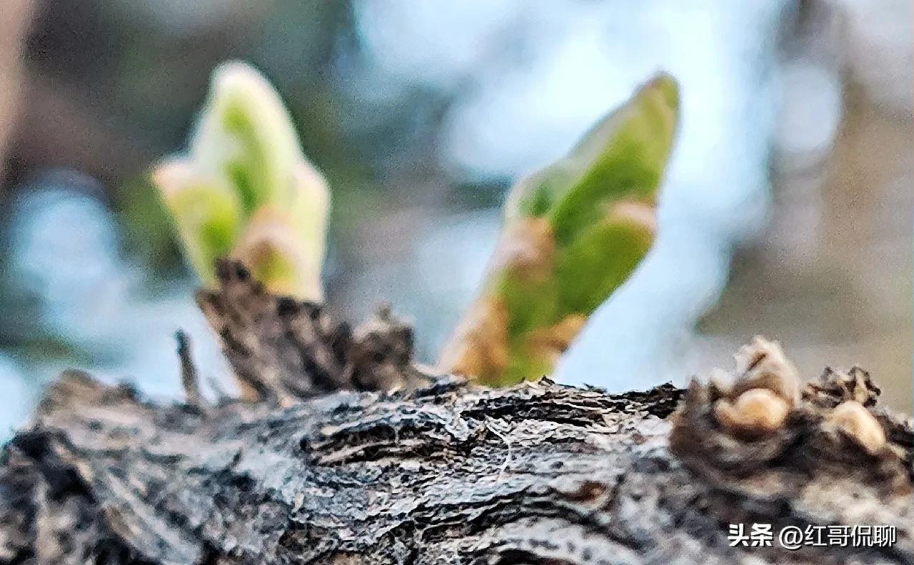 这几日有关张近东从江苏首富到资产清零引发热议：如今他63岁，资产清零，无股权，但