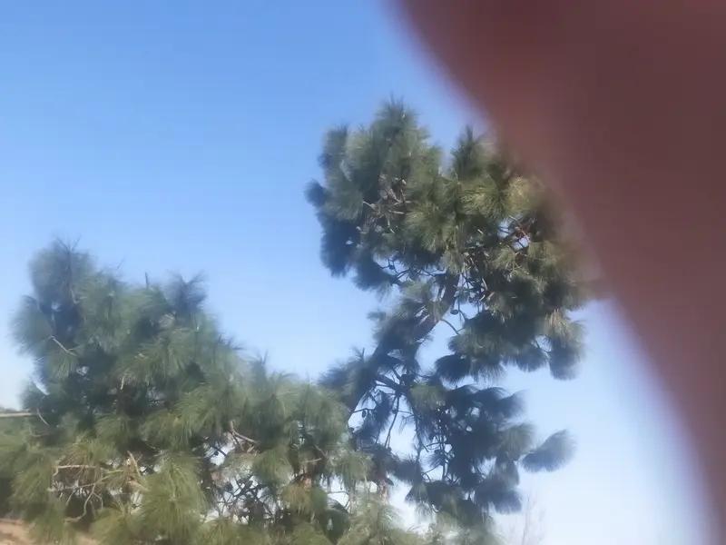 性子急的人想慢下来，得从多方面入手。
要是遗传因素导致的急脾气，不妨试试冥想和深