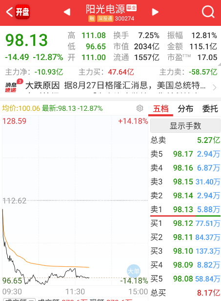 阳光再次因为黑天鹅被踩，导致拖累整个新能源板块。 ​​​