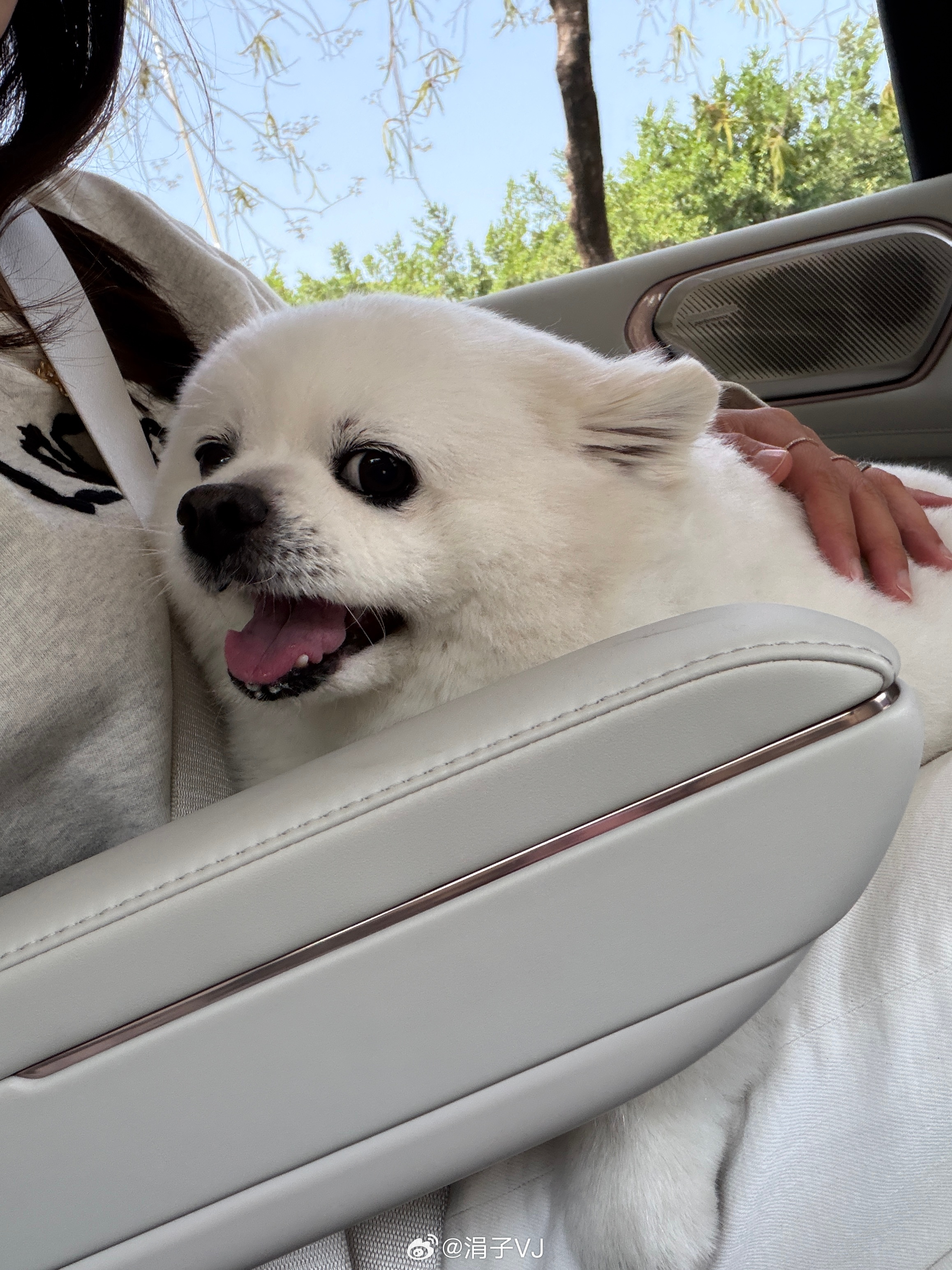 麻麻要出差，投送去好友家住两天。没被寄养过，希望你适应