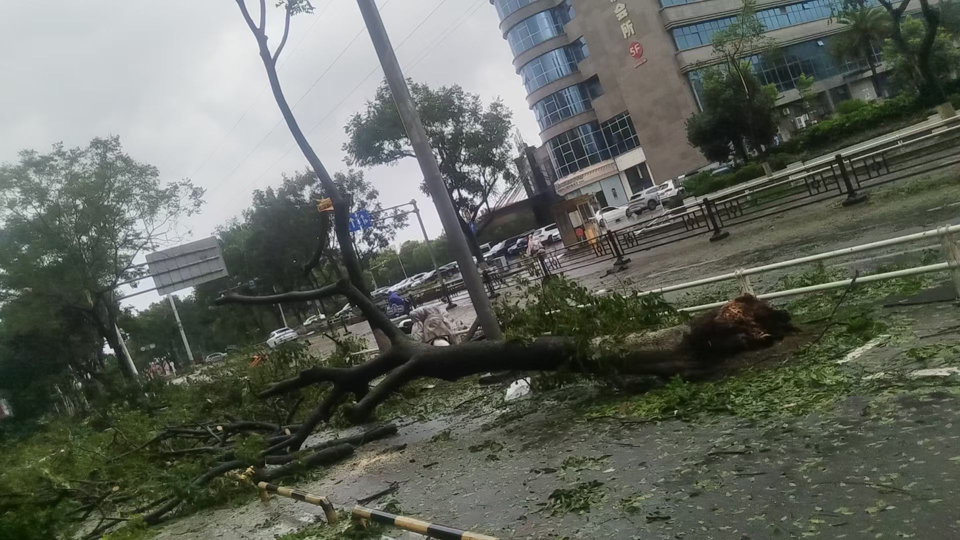 台风过后的台州温岭老家… 