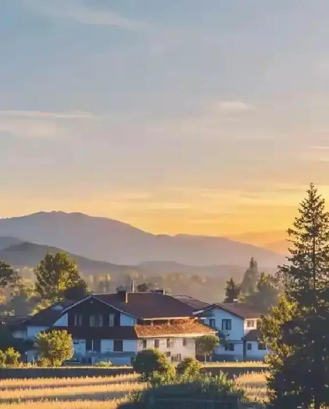 今早出门，东边太阳刚冒头，墙根下的雄鸡就喔喔叫起来。院子里的冻草化了，牛羊在圈里