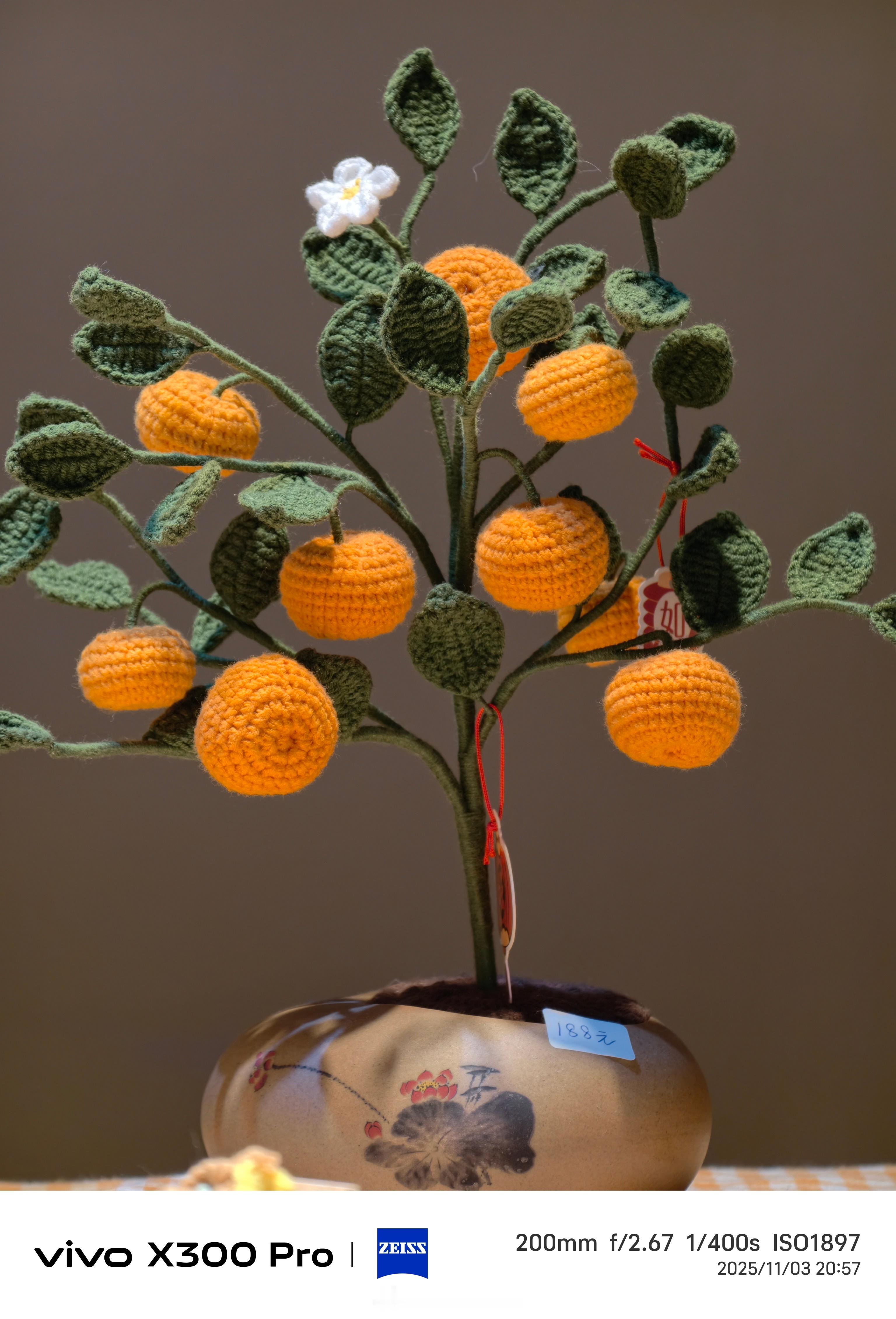 vivo X300 Pro➕蔡司增距镜是等效200mm，OPPO Find X9