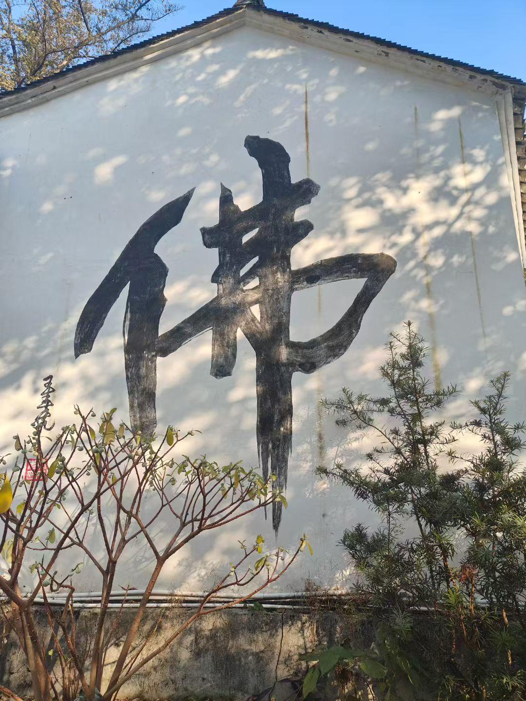 未来十大趋势，财富增长之道
拥抱康波周期，老登新观察：

第一大趋势：自动驾驶将