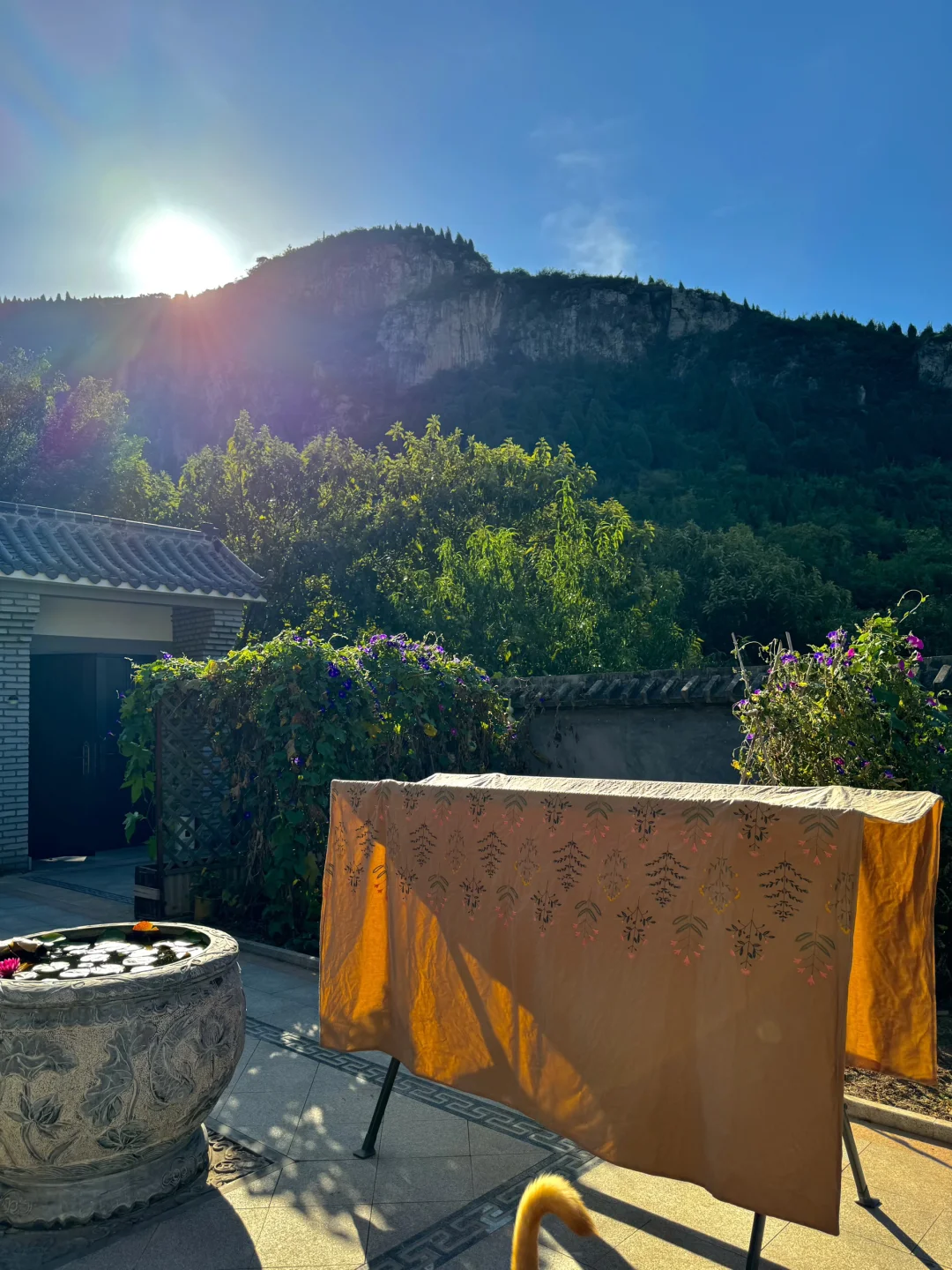 黄帝内经：中医世家女·女子养生不是苦修🌾