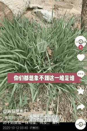 辽宁女子喊一堆草“干妈”，这事儿看着好笑却藏着老一辈的温柔！
 
    长见识